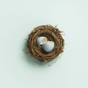 Broken egg inside nest