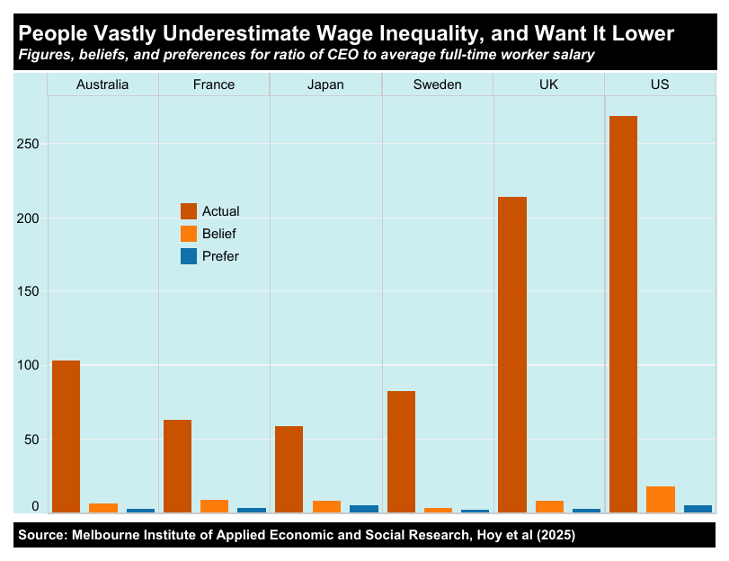 A chart comparing beliefs about wage inequality across countries.