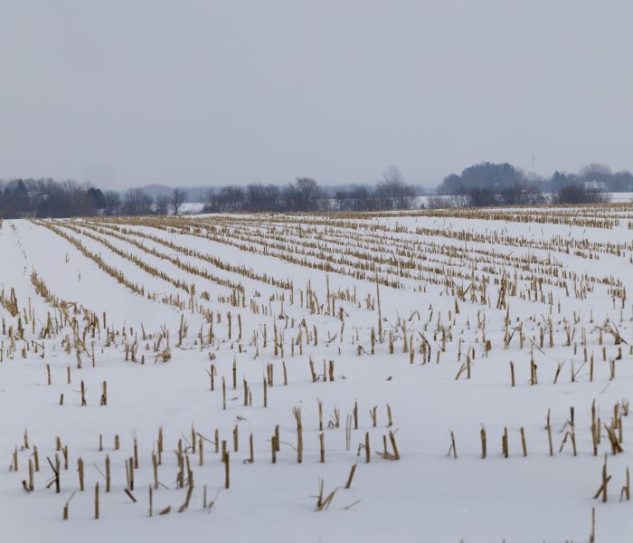 Naming and Shaming Food Barons: A Q&A with Austin Frerick