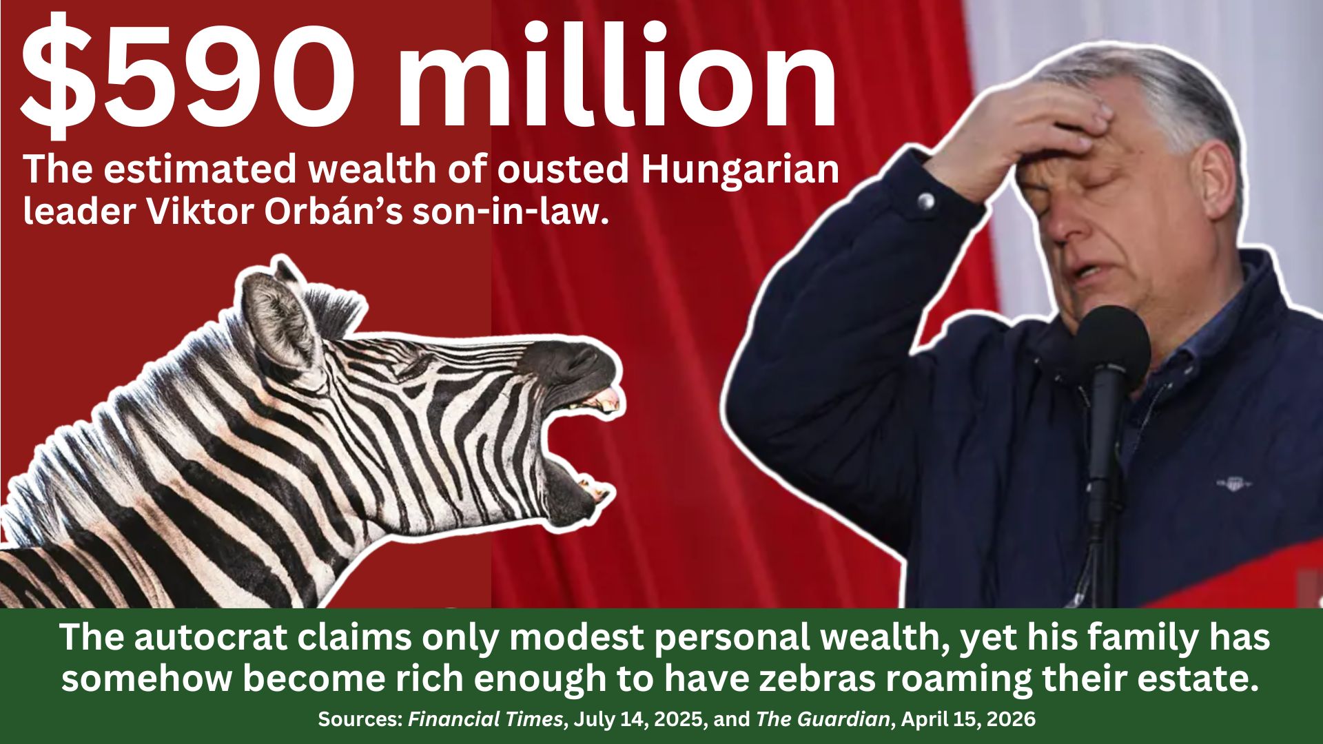 A photo of Viktor Orban and a zebra with the text: $590 million, the estimated wealth of ousted Hungarian leader Viktor Orban's son-in-law. The autocrat claims only modest personal wealth, yet his family has somehow become rich enough to have zebras roaming their estate. Sources: Financial Times, July 14, 2025 and The Guardian, April 15, 2026