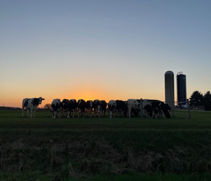 Global Summit Gives Wisconsin Workers and Farmers a Platform to Demand Fair Trade